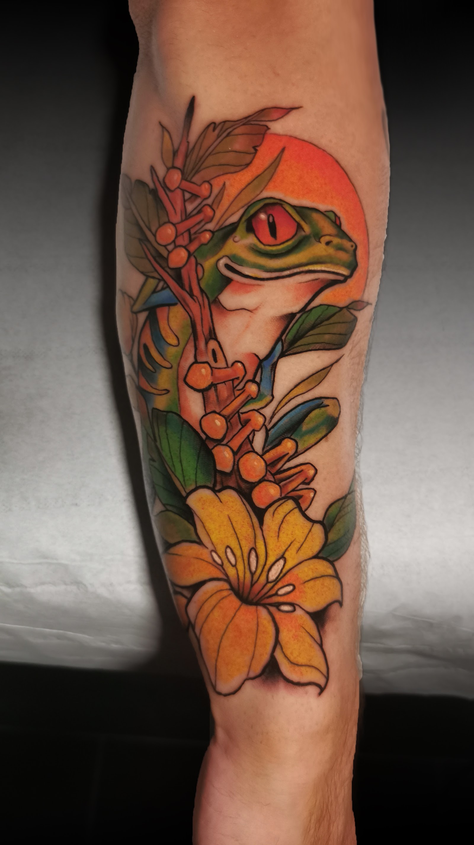 Grenouille tropicale neo-traditional en couleur — mollet